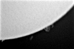 Sonne 2008